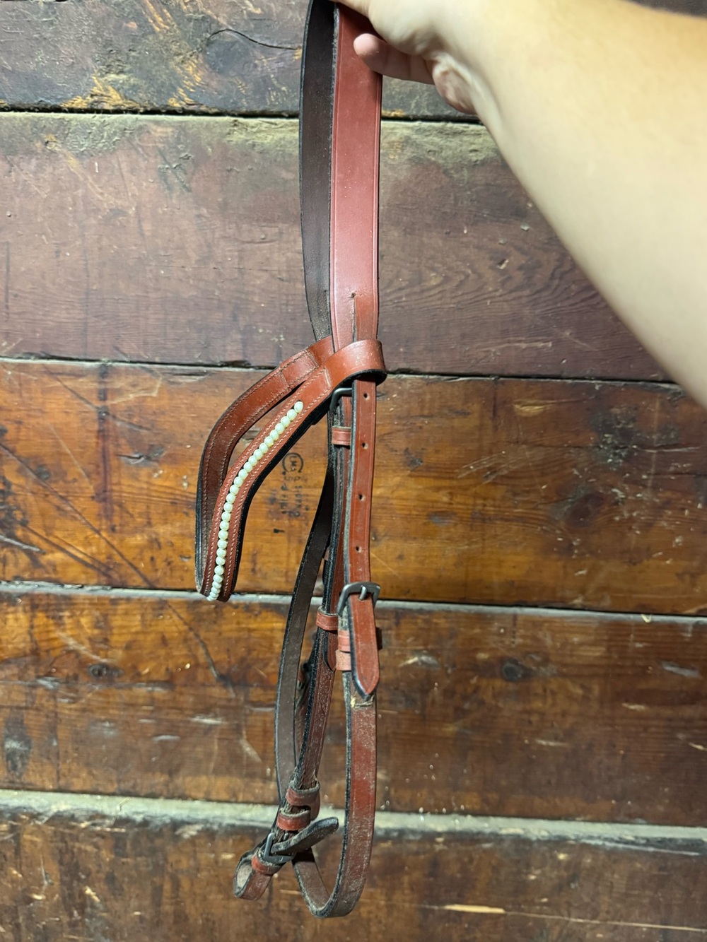 Equestrian brown bridle & flash missing noseband